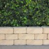 Apex BoldStone Garden Edging Wall Block Gold Blend ONLINE ONLY SPECIAL OFFER
