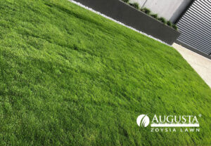 Augusta-Zoysia-Lawn-IMG_2094-1708-w-1024×711-1.jpg – Smart Stone Blocks ...