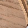 Kashmiri Organic Sandstone Stepper