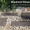Edenstone Blackbutt Paver - Image 2